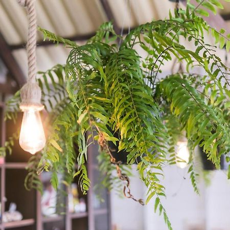 Boho Hostel Ко-Ланта Екстер'єр фото